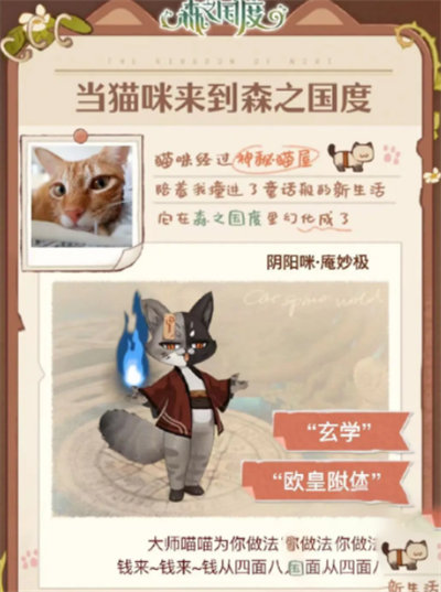 森之国度猫灵图册作用详情介绍